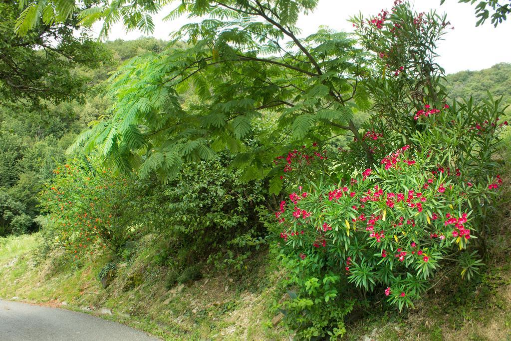 Turisticna Kmetija Stanfel Villa พอตซาโบติน ภายนอก รูปภาพ